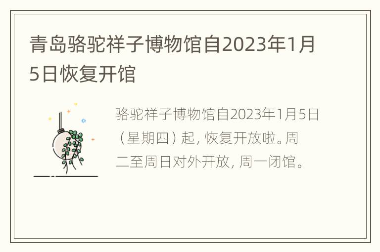青岛骆驼祥子博物馆自2023年1月5日恢复开馆