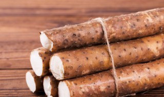 山药豆发芽了怎么办 山药豆发芽怎么处理