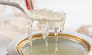 电炖锅炖燕窝要多久 电炖锅炖燕窝要多长时间