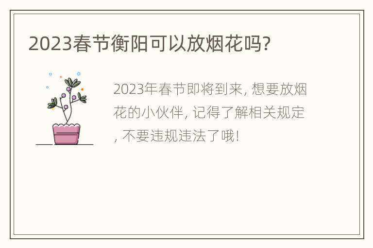 2023春节衡阳可以放烟花吗？