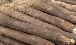 山药怎么栽 山药如何栽