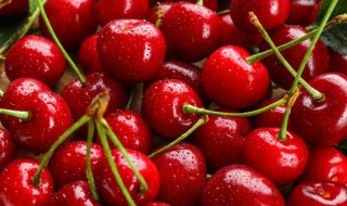 车厘子是不是越大越好吃 车厘子越大口感越好吗
