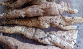 野生山药怎么吃 如何吃野生山药
