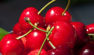 车厘子能和咖啡一起吃吗 车厘子能不能和咖啡一起吃