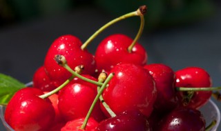 车厘子能和圣女果一起吃吗 车厘子和圣女果可以同食吗