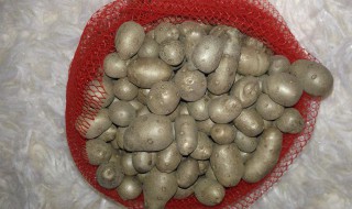 山药豆怎么炒 炒山药豆的做法