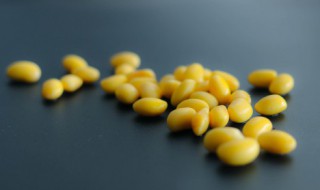 黄豆能生吃吗 黄豆是否可以生吃呢