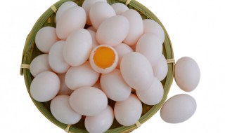 小孩吃鸽蛋有什么好处 小孩吃鸽蛋的好处介绍