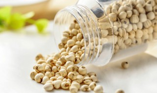 川贝能生吃吗 川贝是否可以生吃