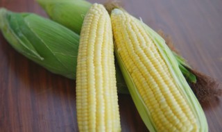 水果玉米能生吃吗 水果玉米是否可以生吃呢