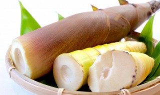 竹笋能生吃吗 竹笋是否可以生吃呢