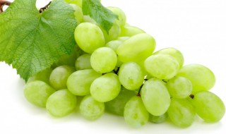 每天吃提子有什么好处 每天吃提子有哪些益处呢