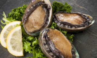 鲍鱼能生吃吗 鲍鱼是否可以生吃呢