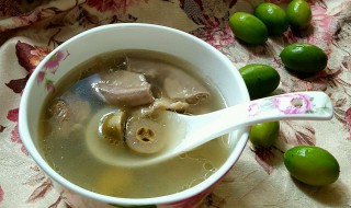 青橄榄和什么煲汤比较好 青橄榄搭配什么煲汤比较好