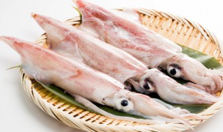 怀孕吃墨鱼有什么好处 怀孕吃墨鱼有哪些益处呢