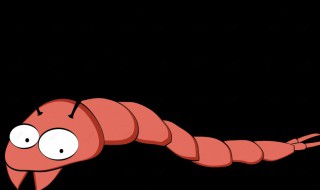 蜈蚣能生吃吗 蜈蚣是否可以生吃