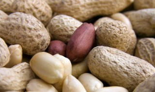 吃煮的花生有什么好处 吃煮的花生有哪些好处呢