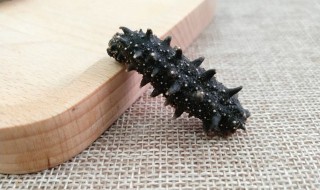 海参和什么煲汤比较好 海参煲汤搭配什么食材好