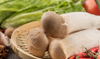 吃杏鲍菇有什么好处 吃杏鲍菇有哪些好处呢