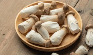 杏鲍菇能生吃吗 杏鲍菇是否可以生吃呢