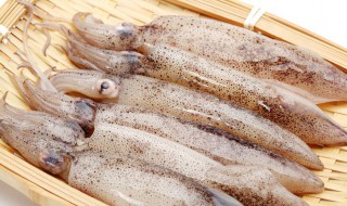 鱿鱼能生吃吗 鱿鱼是否可以生吃