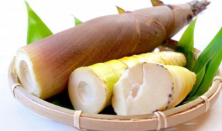 鲜笋和什么一起煲汤比较好 鲜笋和哪些食材一起煲汤营养美味呢