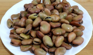 蚕豆发芽了还可以吃吗 蚕豆发芽了能吃吗