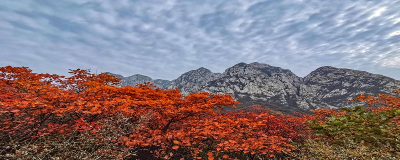 中岳什么山