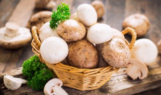 蘑菇能生吃吗 蘑菇是否可以生吃呢