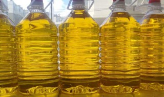 葵花籽油能生吃吗 葵花籽油适合生吃吗