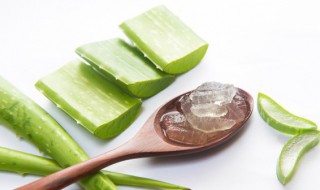 芦荟能生吃吗 芦荟是否可以生吃呢