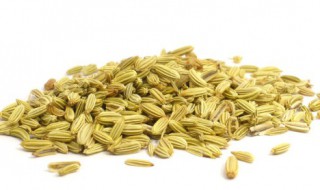 茴香能生吃吗 茴香是否可以生吃呢