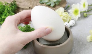 刚怀孕吃鹅蛋有什么好处 刚怀孕吃鹅蛋有什么功效与作用呢