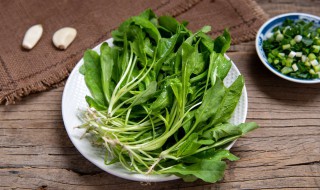 荠菜能生吃吗 荠菜能不能生吃