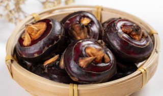 马蹄果能生吃吗 马蹄果适合生吃吗