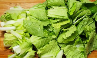 小白菜能生吃吗 小白菜是否可以生吃呢