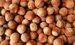 毛榛子能生吃吗 毛榛子可不可以生吃呢