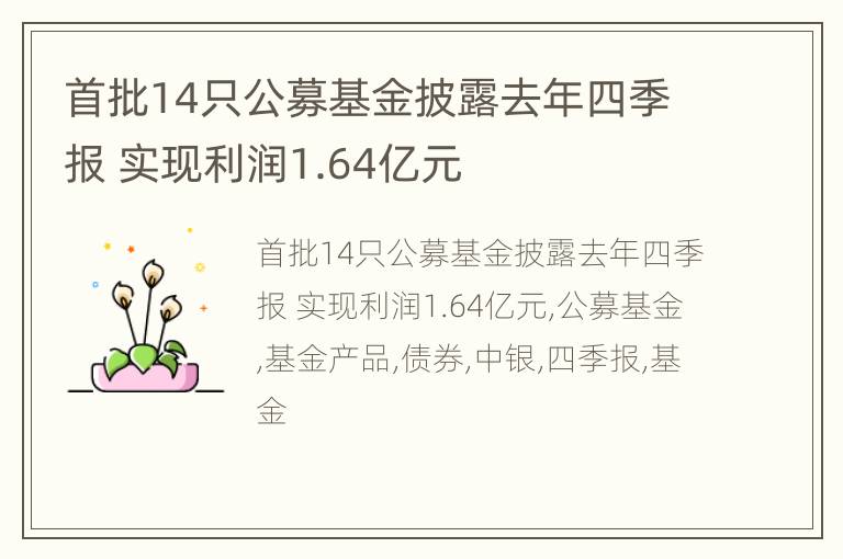 首批14只公募基金披露去年四季报 实现利润1.64亿元