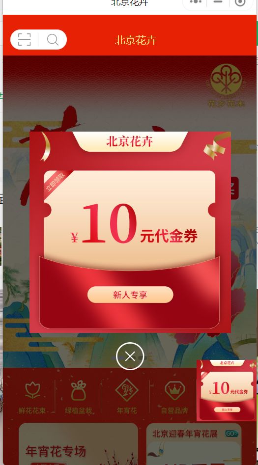 北京迎春年宵花微信购买入口