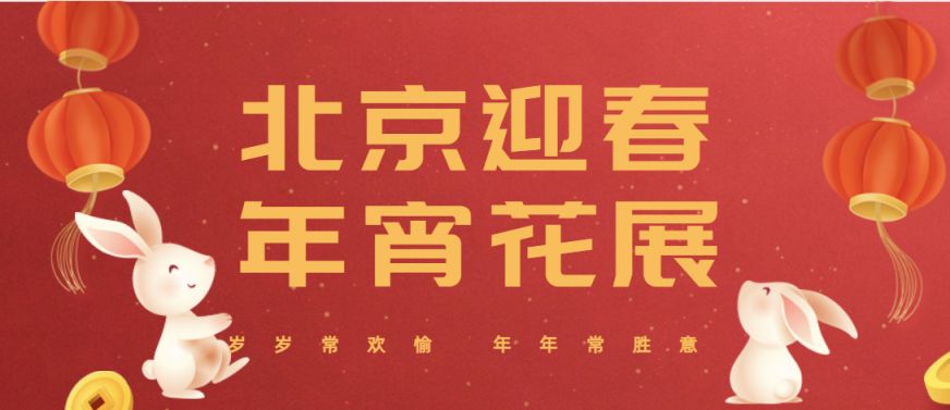 2023北京迎春年宵花展时间地址主题