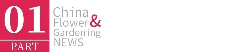 2023北京迎春年宵花展三大亮点介绍