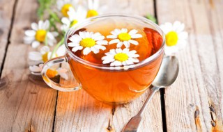 菊花茶饮料可以晚上喝吗 晚上可以喝菊花茶吗