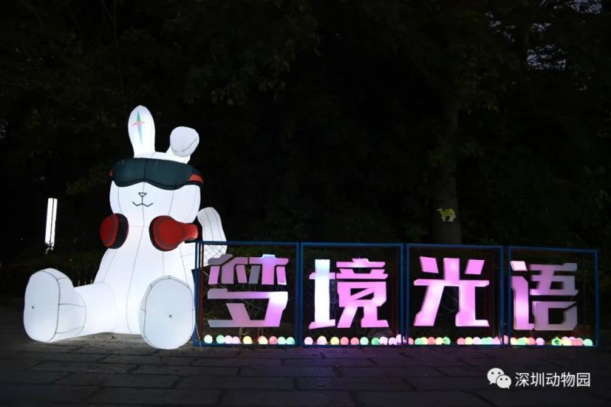 2023深圳野生动物园春节活动游玩推荐