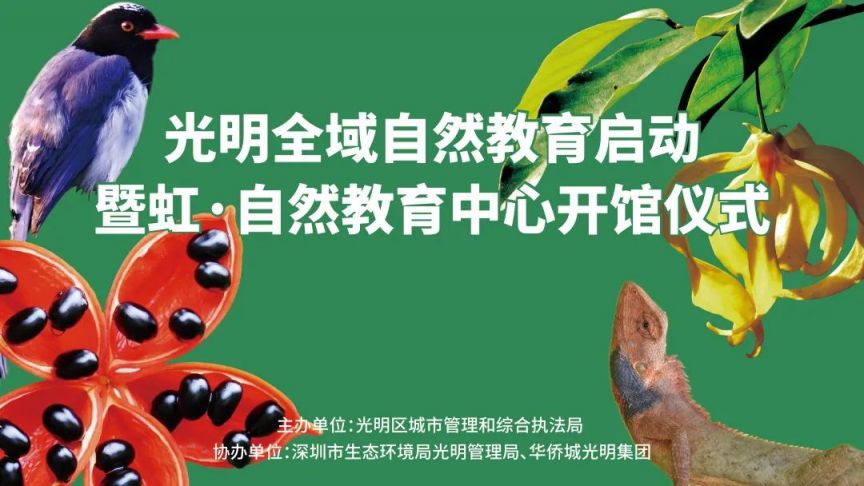 深圳光明区虹桥公园自然教育中心介绍