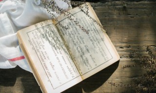 祝福新年语句十字唯美 简短新年祝福语十个字