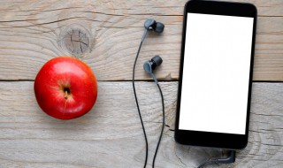 独特网名英文霸气高冷 霸气高冷有气质的英文昵称精选