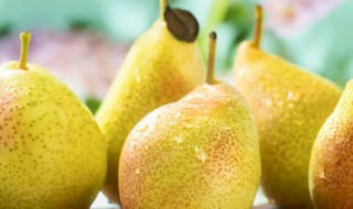 梨怎么熬水 梨如何熬水