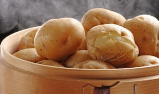 土豆和牛肉能一起吃吗 土豆和牛肉可以一起吃吗