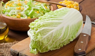 白菜怎么煮放什么调料 煮白菜的做法