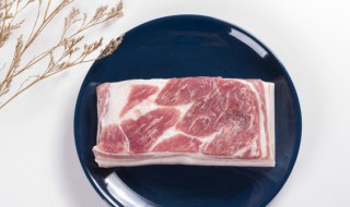 煮猪肉不要放什么调料 煮猪肉放什么会不好吃